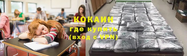 стафф Каменка