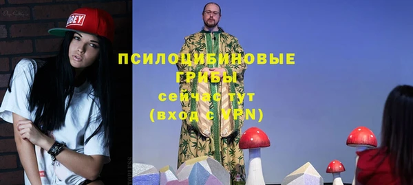 mdpv Каменск-Шахтинский