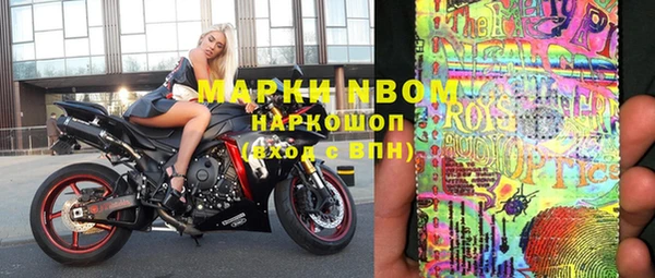 стафф Каменка