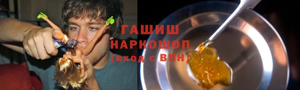 стафф Касимов