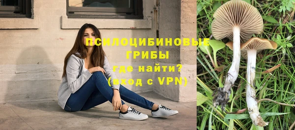 шишки Иннополис