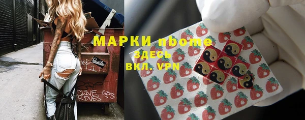 стафф Каменка
